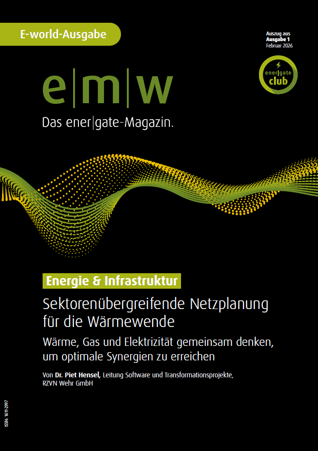 Sektorenübergreifende Netzplanung für die Wärmewende